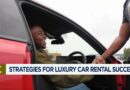 Africa Side Hustle: The African luxury car rental market
