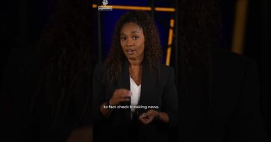 AI as fact-checkers | Digital Dilemma