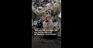 Al Jazeera contributor Ruwaida Amer speaks out about the Gaza famine | AJ#shorts
