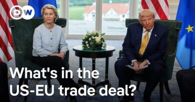 Analyst: EU-US trade deal ‘replaces’ EU autonomy with ‘vulnerability and an over-reliance on the US’