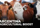 Argentina cuts export taxes to boost farming sector and production