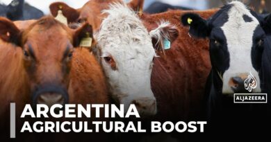 Argentina cuts export taxes to boost farming sector and production