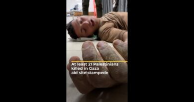 At least 21 Palestinians killed in Gaza aid site stampede | #ajshorts