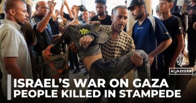 At least 21 people killed in stampede, suffocation at GHF site in Gaza