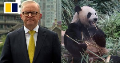 Australian PM Albanese talks pandas and trade deals in China