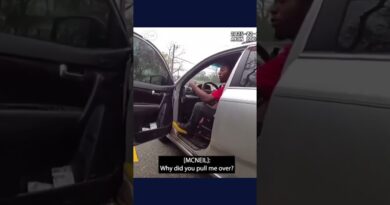 Black man punched and pulled from his car by Florida police officers | DW News