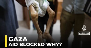 Blame for aid failure lies ‘squarely with Israel’: Former UNRWA spokesman