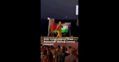 Bob Vylan chants ‘Free Palestine’ during Greece concert | AJ #shorts
