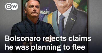 Brazil’s Bolsonaro banned from using social media, ordered to wear monitoring device | DW News