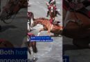 Breakaway horses at Bastille Day parade | DW News