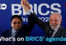 Brics summit 2025: Can an enlarged group take a cohesive stance? | DW News