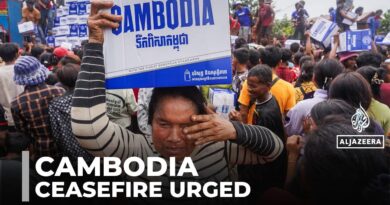 Cambodia calls for ceasefire with Thailand