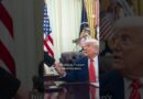 Can anyone really run X other than Musk himself? | DW News
