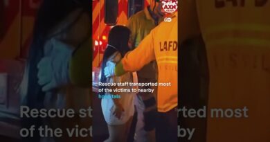 Car rams into crowd in LA | DW News