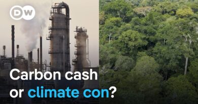 Carbon trading in Africa sparks controversy: Who benefits? | DW News