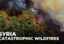 Catastrophic wildfires destroy 10,000 hectares of forest in Syria’s Latakia