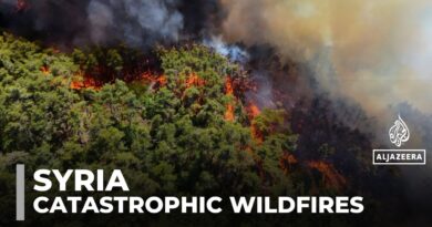 Catastrophic wildfires destroy 10,000 hectares of forest in Syria’s Latakia