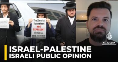 Changing Israeli public opinion on Gaza remains challenging despite evidence of ‘genocide’: Analysis