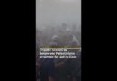 Chaotic scenes as desperately-hungry Palestinians scramble for aid in Gaza | AJ #shorts