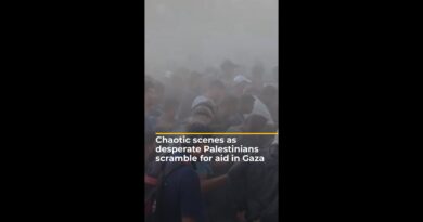Chaotic scenes as desperately-hungry Palestinians scramble for aid in Gaza | AJ #shorts