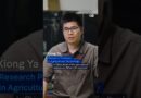 China moves to become global leader in robotics | DW News