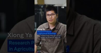China moves to become global leader in robotics | DW News