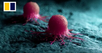 China-Singapore team’s nanovaccine suppresses cancer recurrence and spread in animal tests