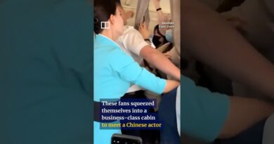 Chinese fans storm business-class cabin on taxiing plane to meet actor #shorts