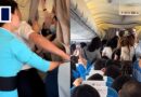 Chinese fans storm business-class cabin on taxiing plane to meet actor