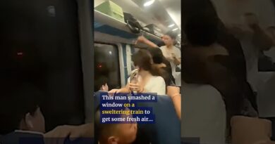 Chinese man smashes train window after collision traps passengers on hot day #shorts