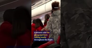 Chinese passengers arrested for fighting on plane #shorts