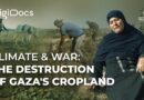 Climate & War: The Destruction of Gaza’s Cropland | DigiDocs