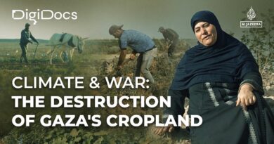 Climate & War: The Destruction of Gaza’s Cropland | DigiDocs
