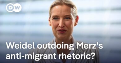 Co-leader of German far-right AfD party urges government to step up deportation of Syrians | DW News