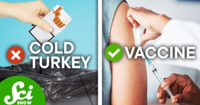 Cold Turkey Doesn’t Work But Vaccines Might Help You Quit Nicotine