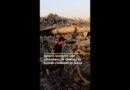 Commercial drones used to bomb civilians in Gaza, report says | AJ#shorts