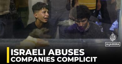 Companies complicit in Israeli abuses ‘stand to take a major hit’ : Analysis
