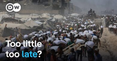 Competing narratives as Israel lets more aid into Gaza | DW News