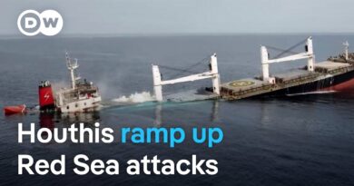 Concerns over safety on vital shipping corridor after second Houthi rebel attack in a week | DW News