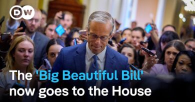 Could doubtful Republicans threaten Trump’s bill again? | DW News