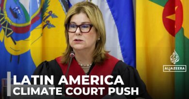 Court declares climate crisis a human rights issue, urges government action