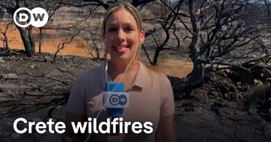 Crete wildfires force 5,000 residents and tourists to evacuate | DW News