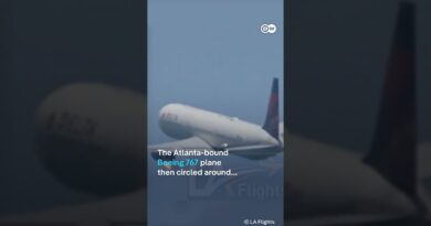 Delta Airlines plane engine catches fire after takeoff from LA | DW News