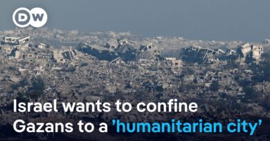 Deportation of Gaza Palestinians a ‘war crime or crime against humanity,’ legal expert tells DW