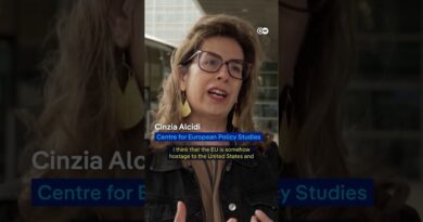 Did the EU bow down to Trump? | DW News