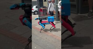 Domino’s tests robot dog to deliver pizzas