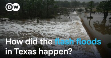 Dozens dead after flash floods – Did the early warning systems fail? | DW News