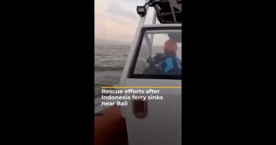 Dozens missing after Indonesia ferry sinks near Bali | AJ #shorts