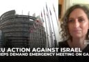 Dozens of EU lawmakers demand sanctions, arms embargo on Israel