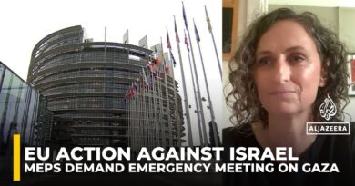 Dozens of EU lawmakers demand sanctions, arms embargo on Israel